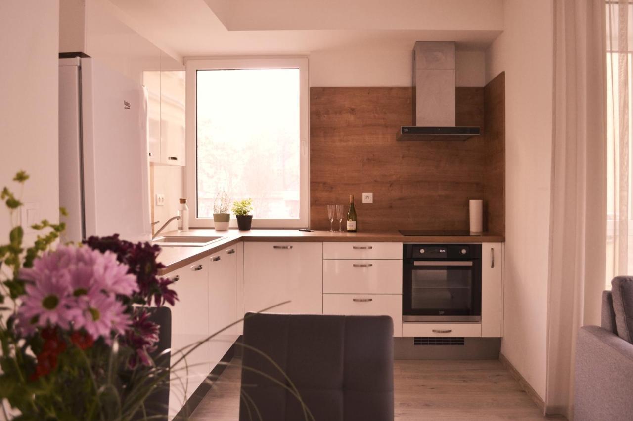 Elegant Escape Apartment I - City Centre 布拉迪斯拉发 外观 照片
